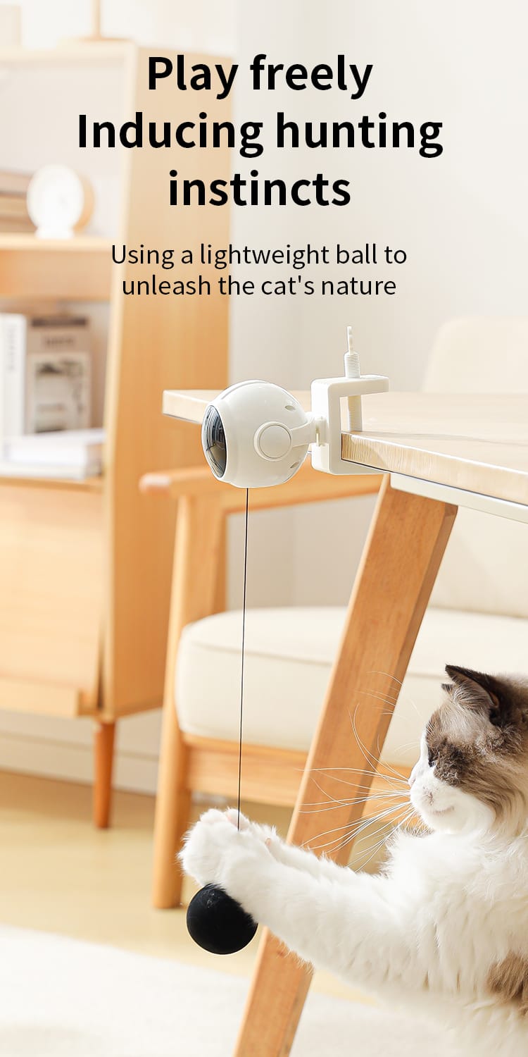 Cat interactive feather toy
