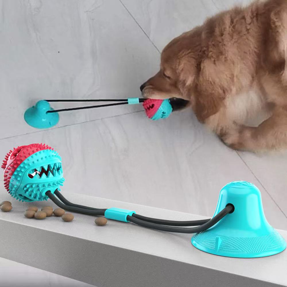 Dog vacuum molar toy