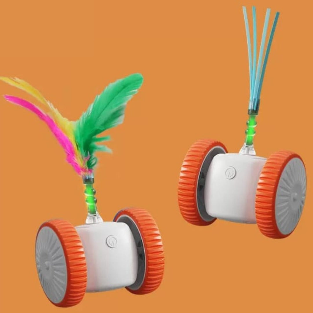 Interactive car toy