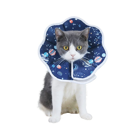 Reflective adjustable safety collars for dogs and cats in bright colors